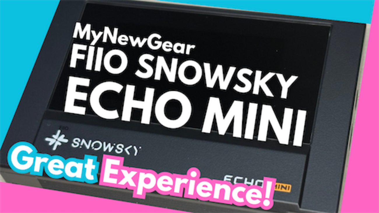 AUDIO】 FIIO SNOWSKY ECHO MINI 【DAP】 - ポタオデノート アーカイブス