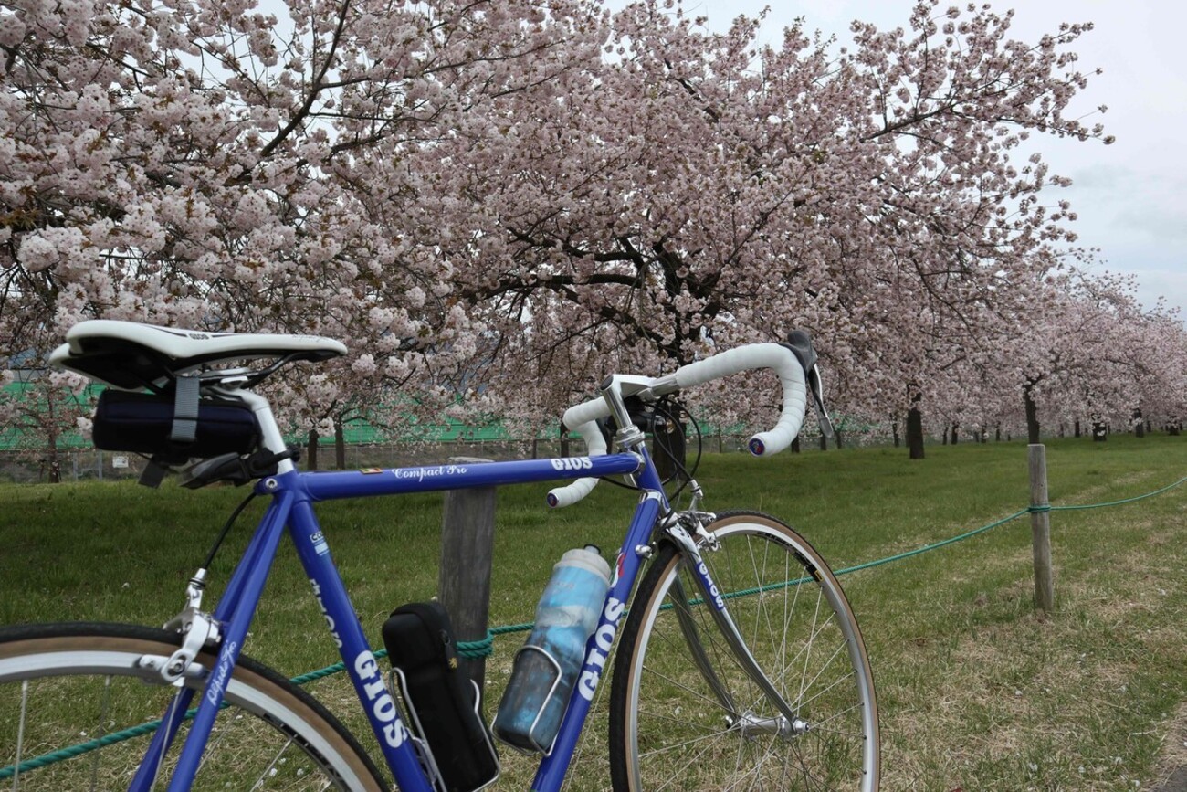 GIOS COMPACT PRO Shake Down - ありのままに生きる