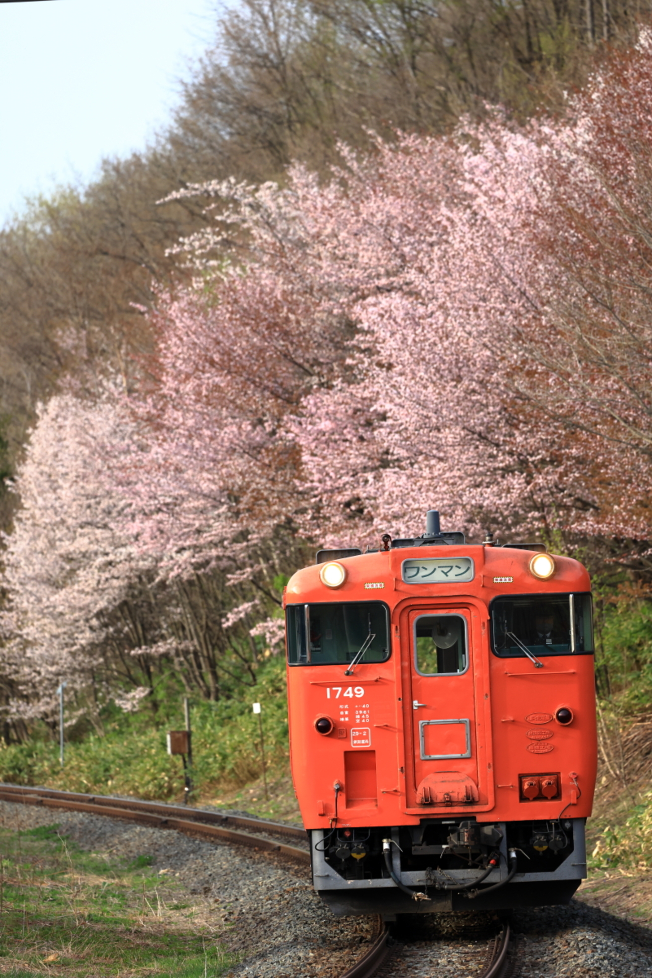 画像の帯の色違い 赤グラデ 帯付き◆◆ノー皺加工最高級カルキュロ◆碧玉波浴衣 画像の帯の色違い 赤グラデ 帯付き◇◇ノー皺加工最高級