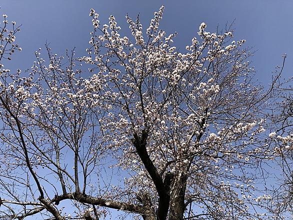 伊那市とは 地理の人気 最新記事を集めました はてな