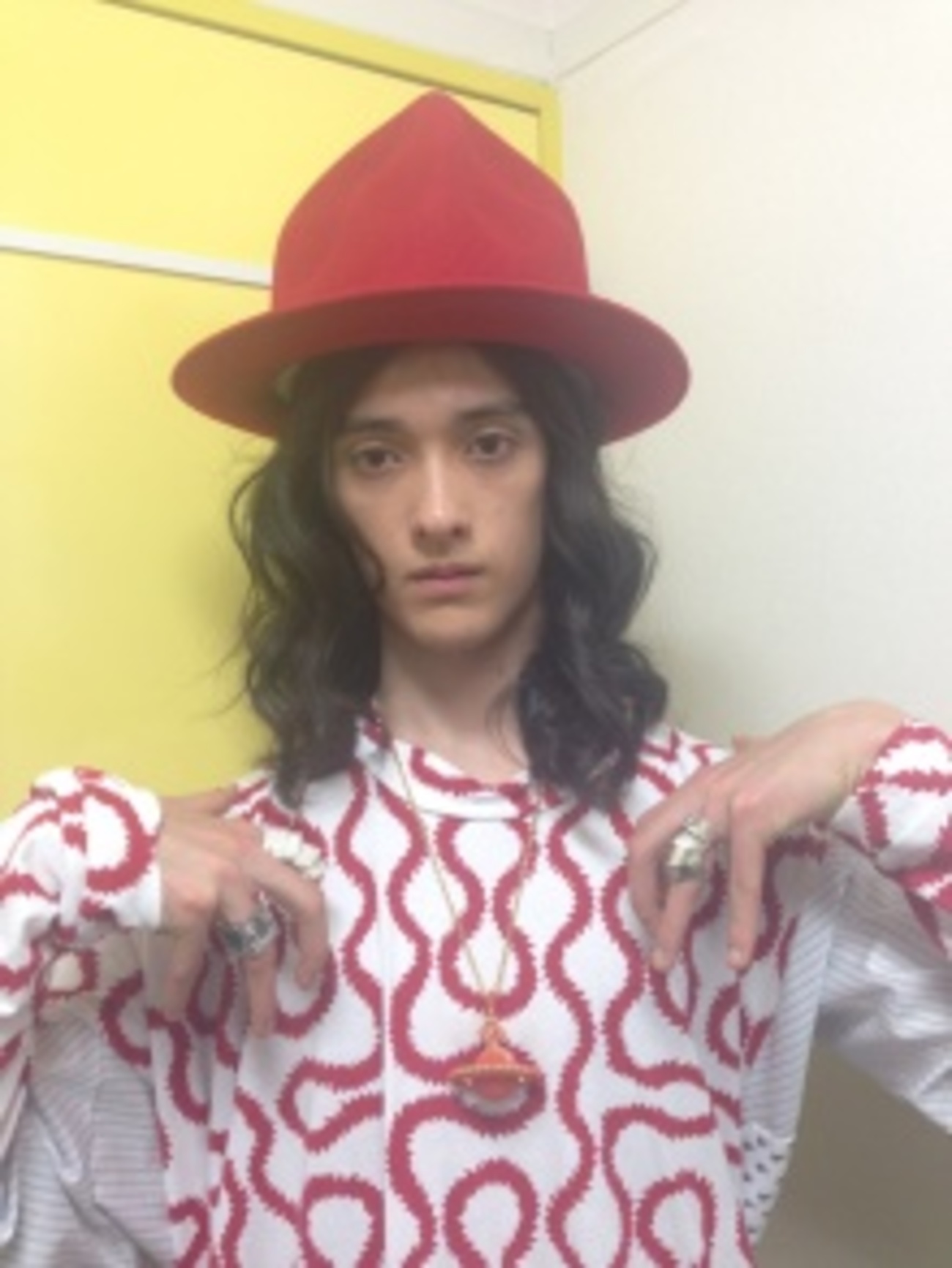 Vivienne Westwood を愛用したことがある有名人