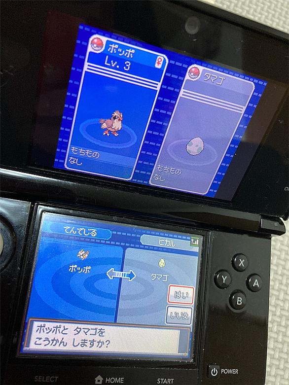 キノココとは ゲームの人気 最新記事を集めました はてな キノココとは ゲームの人気 最新記事を集めました はてな