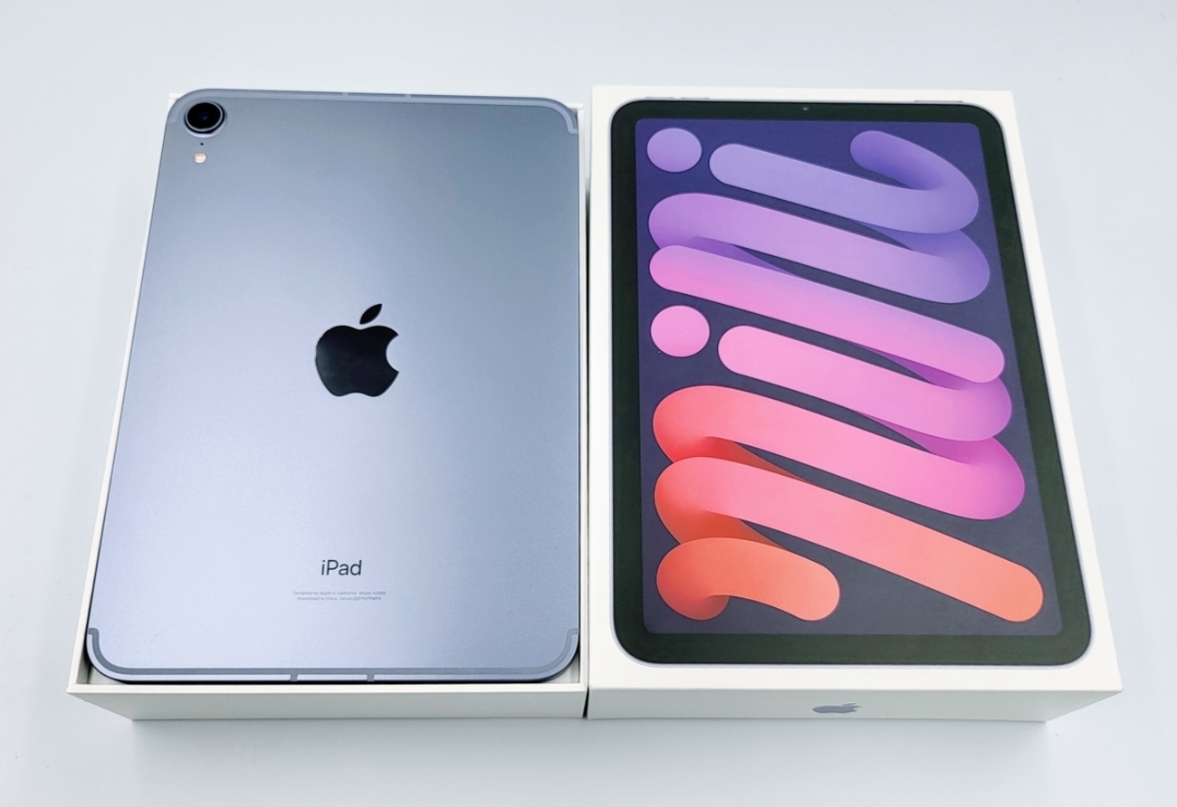 本能ブログ的ベストバイ2021はこれだ！”iPad mini 6 セルラー