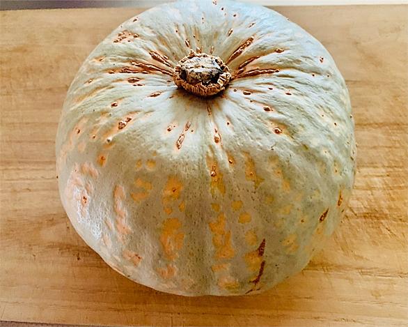 白いかぼちゃとは 人気 最新記事を集めました はてな