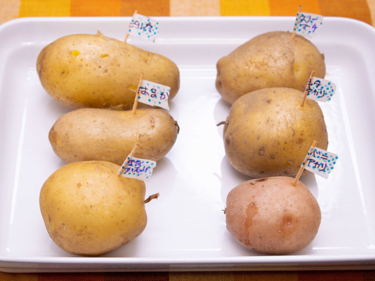北海道から絶品な「じゃがいも」が6品種も届いたのでホクホク食べ比べ