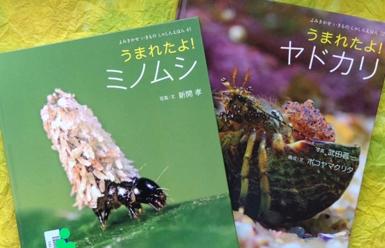 ミノムシさんとヤドカリさんのひみつ - どんぐりうさぎのタンポポ野原