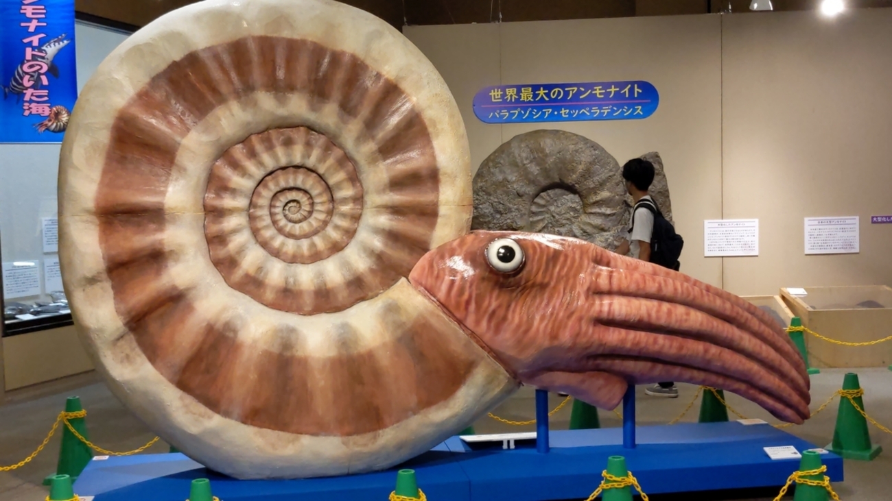 古生物イベント紹介】アンモナイトの秘密～太古の海の不思議な生き物 