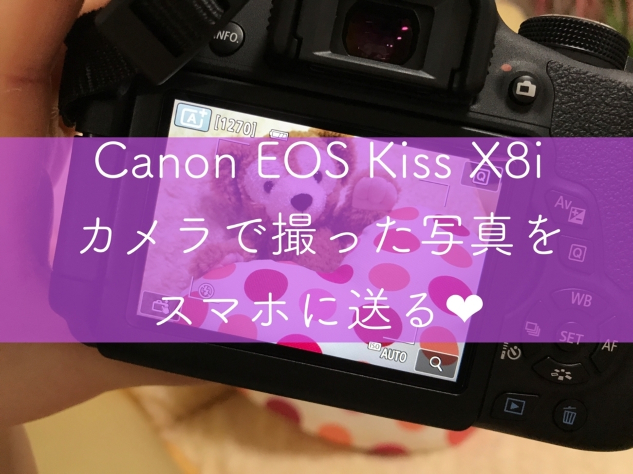 ☆スマホに転送☆キヤノン EOS kiss F☆届いてすぐに使える☆ （✨届い 
