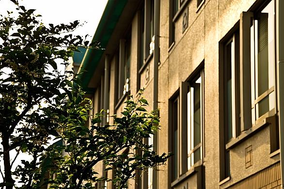 卒アルとは 一般の人気 最新記事を集めました はてな 卒アルとは 一般の人気 最新記事を集めました はてな