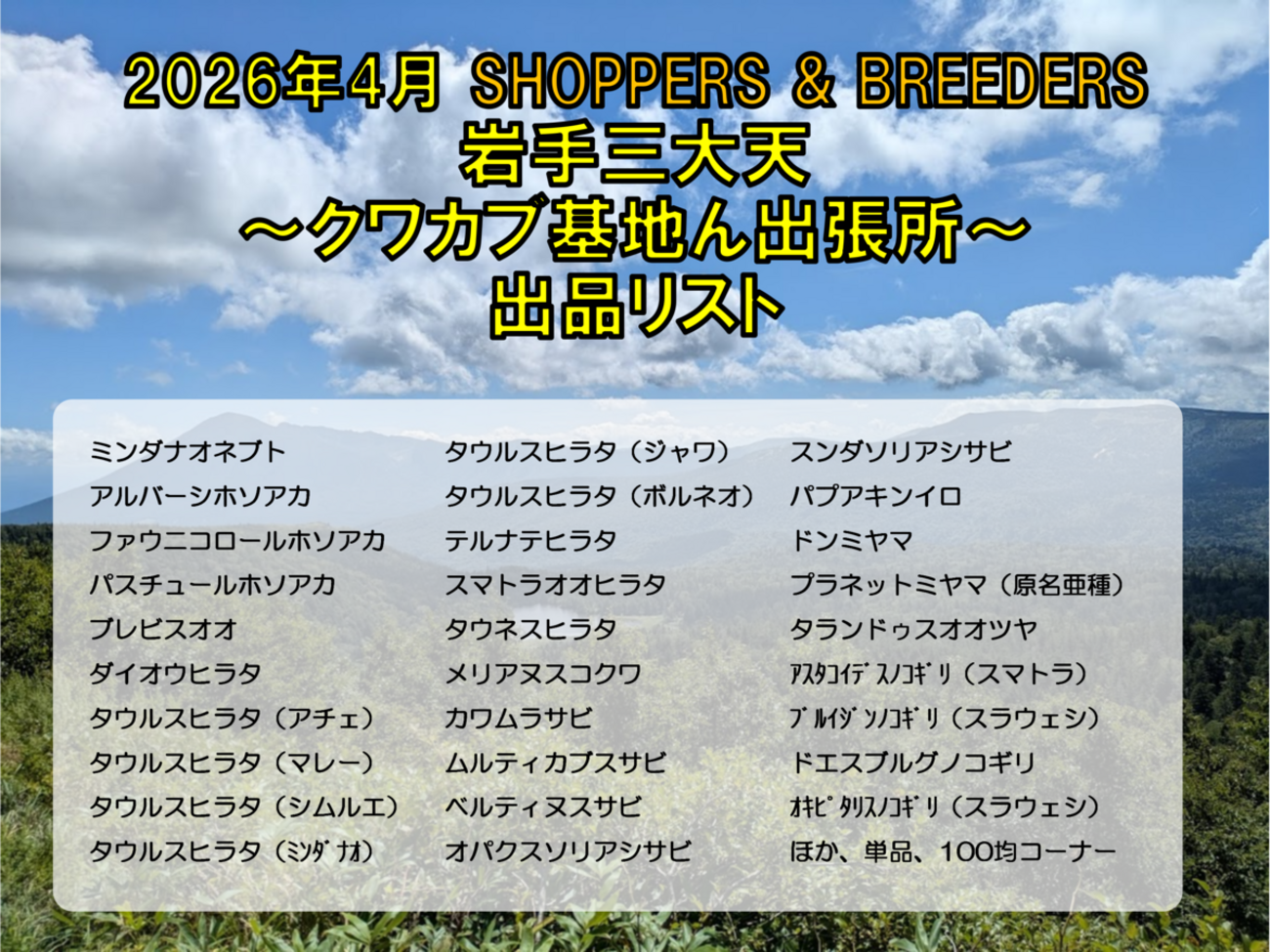 クワタマ　まとめ売り　600Pその他 backend=imagemagick;version=1;