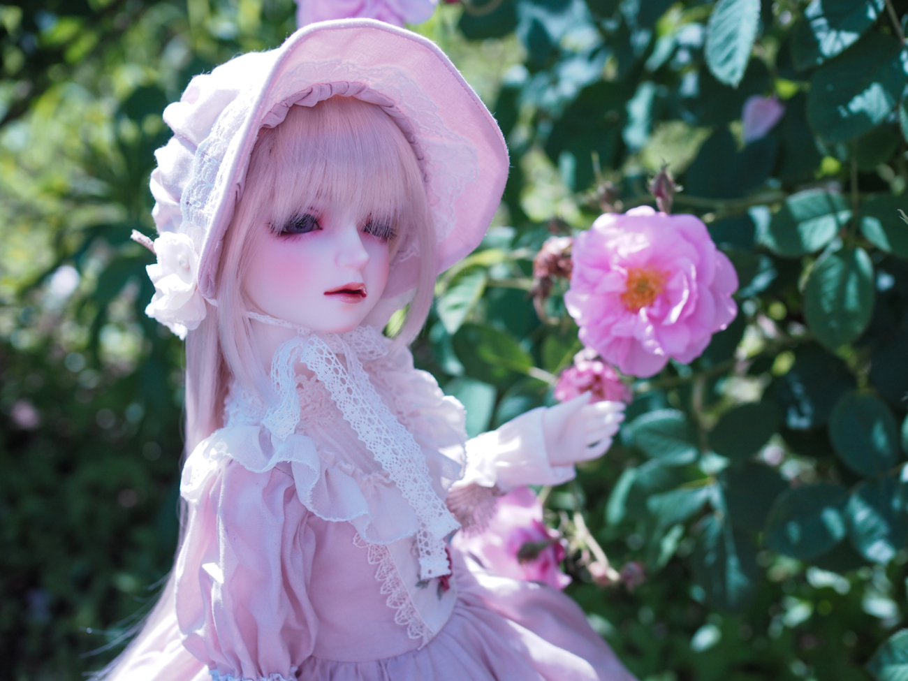 ドール備忘録【129】初夏の薔薇園を君と - 徒然なるままに
