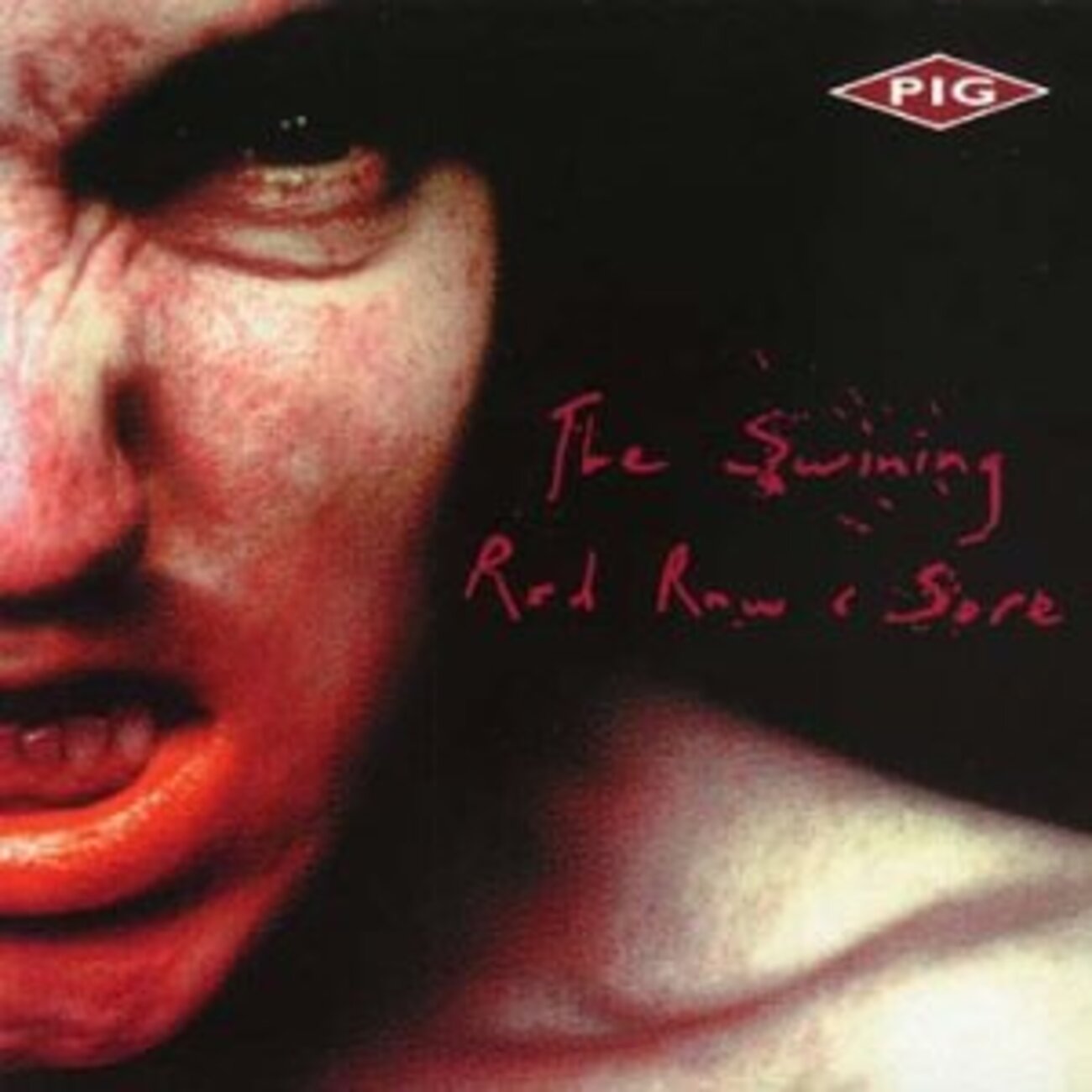 Pig - The Swining - いんなーとりっぷブログ