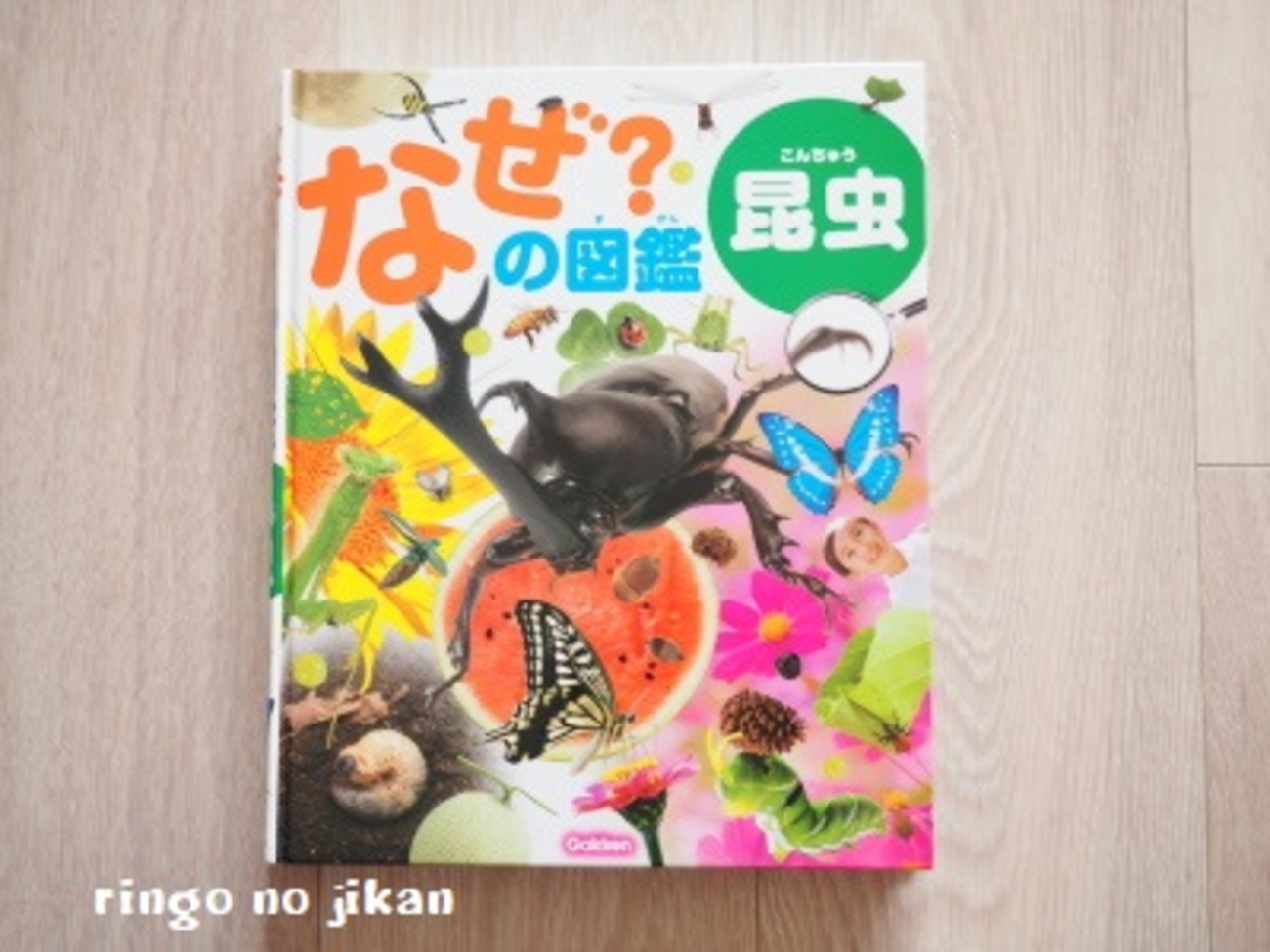 学研　図鑑　昆虫　魚　自動車　汽車　参考書　まとめ売り　動物　植物　昆虫　車 Amazon.co.jp: 230810ふしぎなぜ大図鑑 昆虫動物魚鳥植物の学習百科