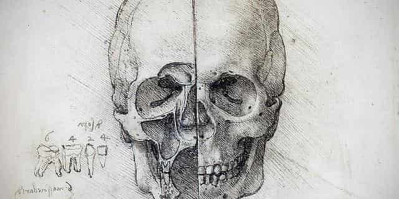 レオナルド・ダ・ヴィンチと解剖学の歴史 - 新・ノラの絵画の時間