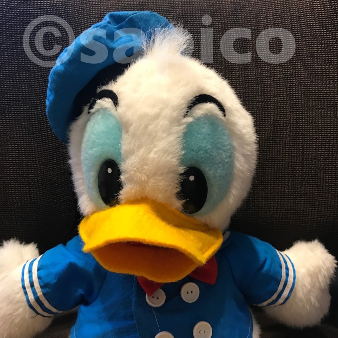 30年前に東京ディズニーランドで購入したドナルドのぬいぐるみを自宅で 