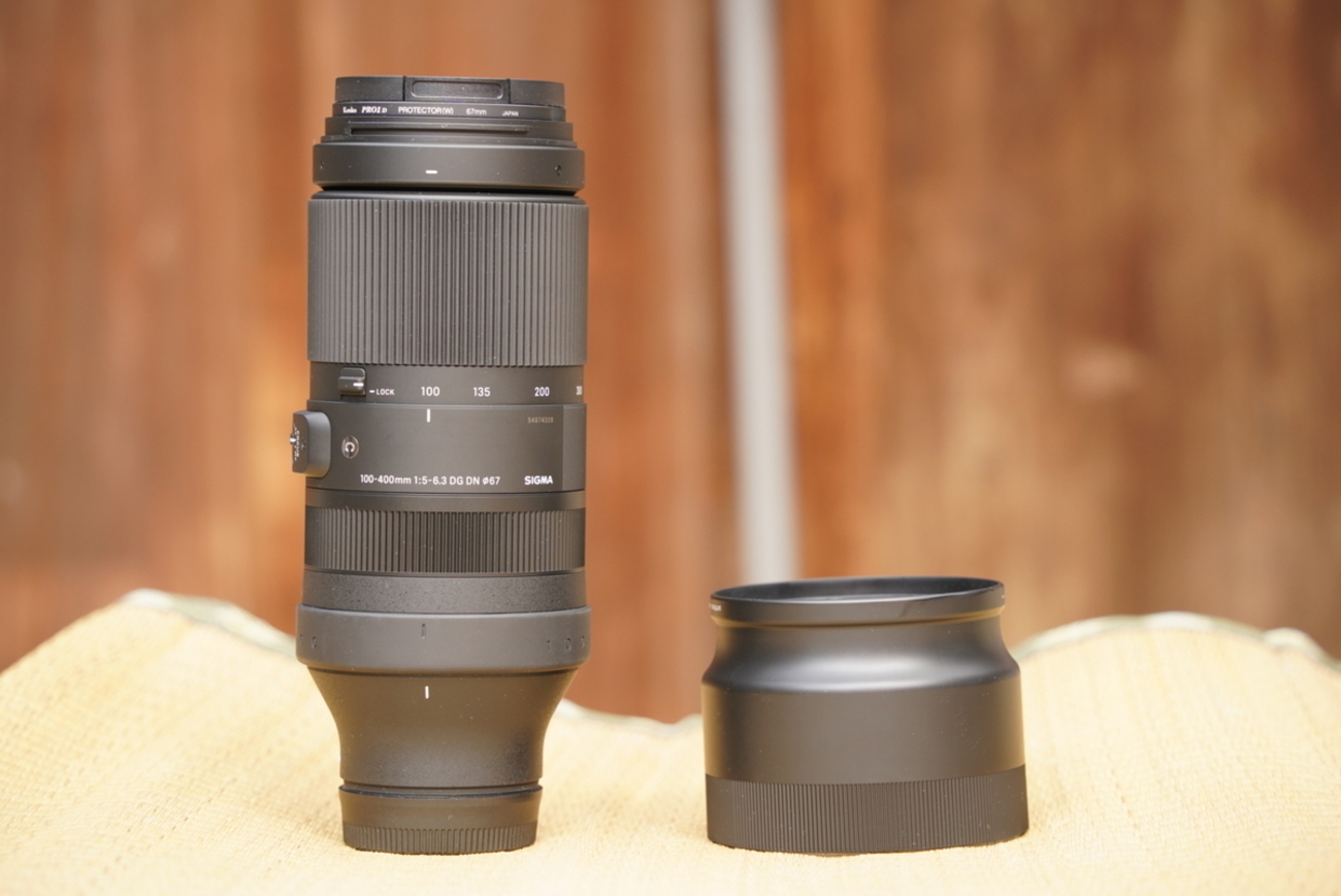 Eマウント用SIGMA100-400mm 作例レビュー】コスパ最強望遠レンズ