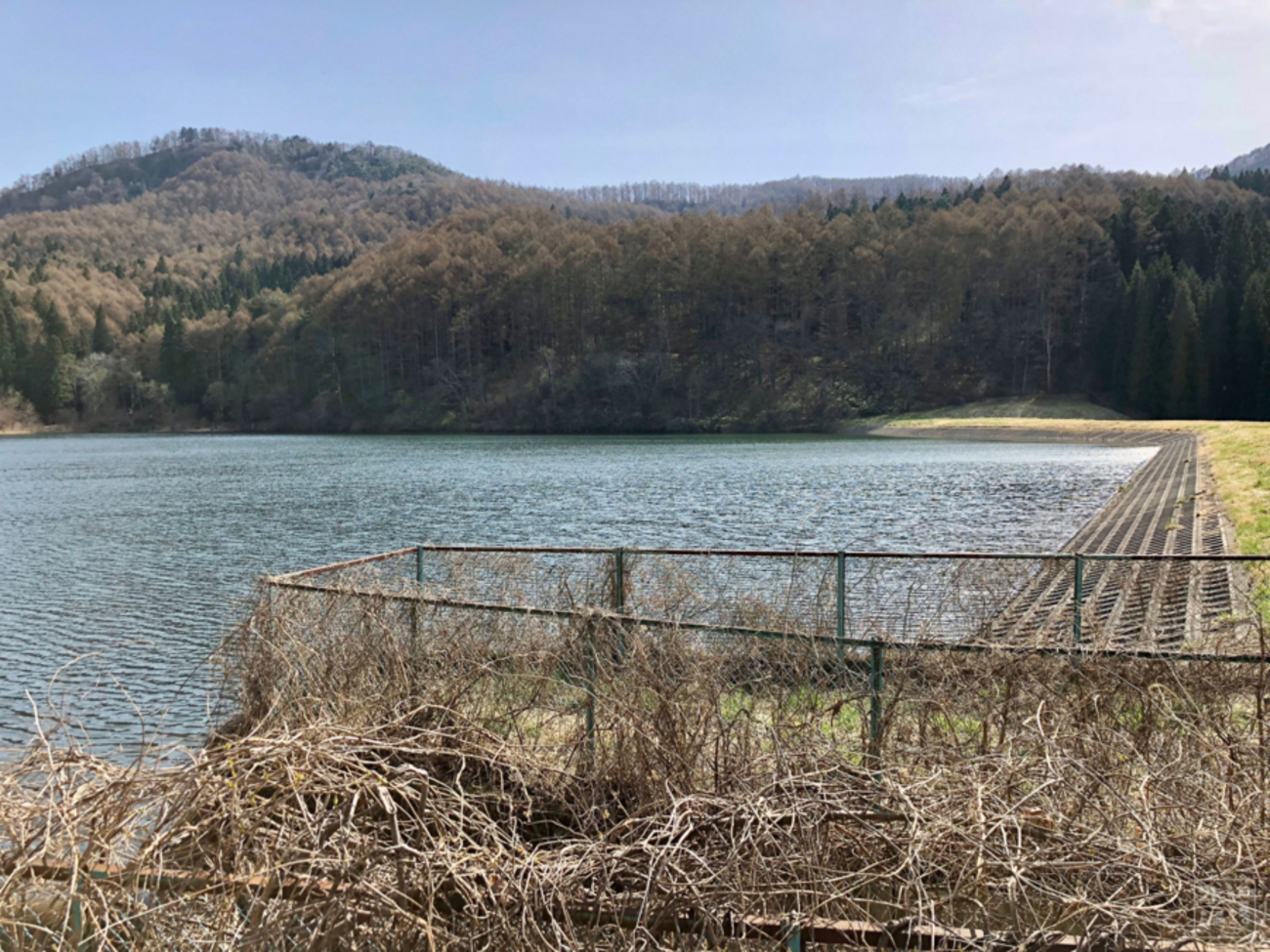 大池上池（長野県千曲） - 水辺遍路