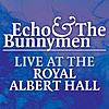 Echo & The Bunnymen - Live At the Royal Albert Hall