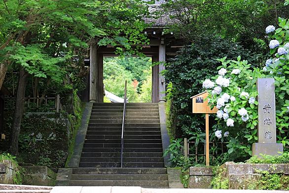国士舘とは 一般の人気 最新記事を集めました はてな 国士舘とは 一般の人気 最新記事を集めました はてな