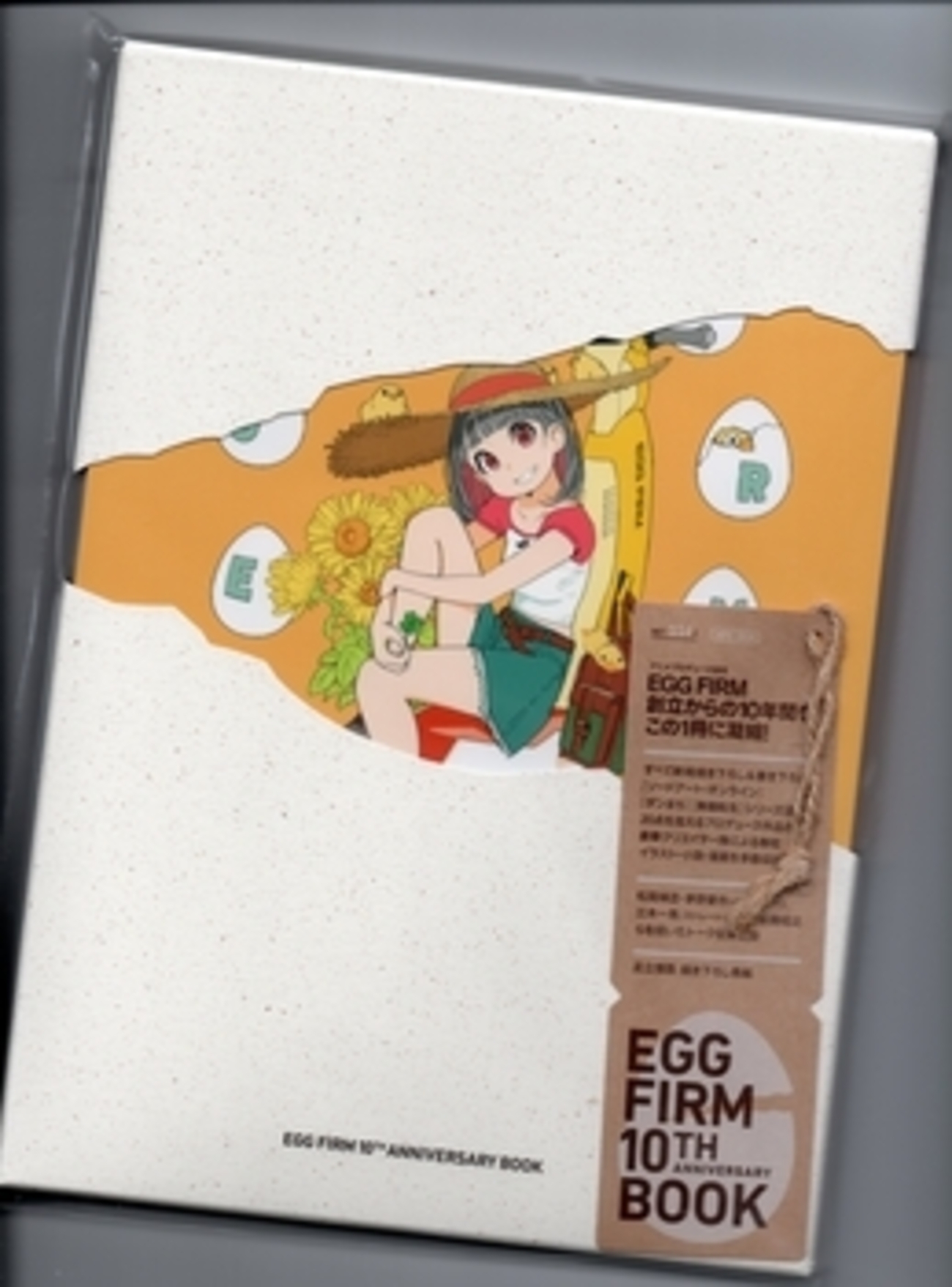 EGG FIRM10周年記念本 感想 - アニメ＆キャラホビー日記