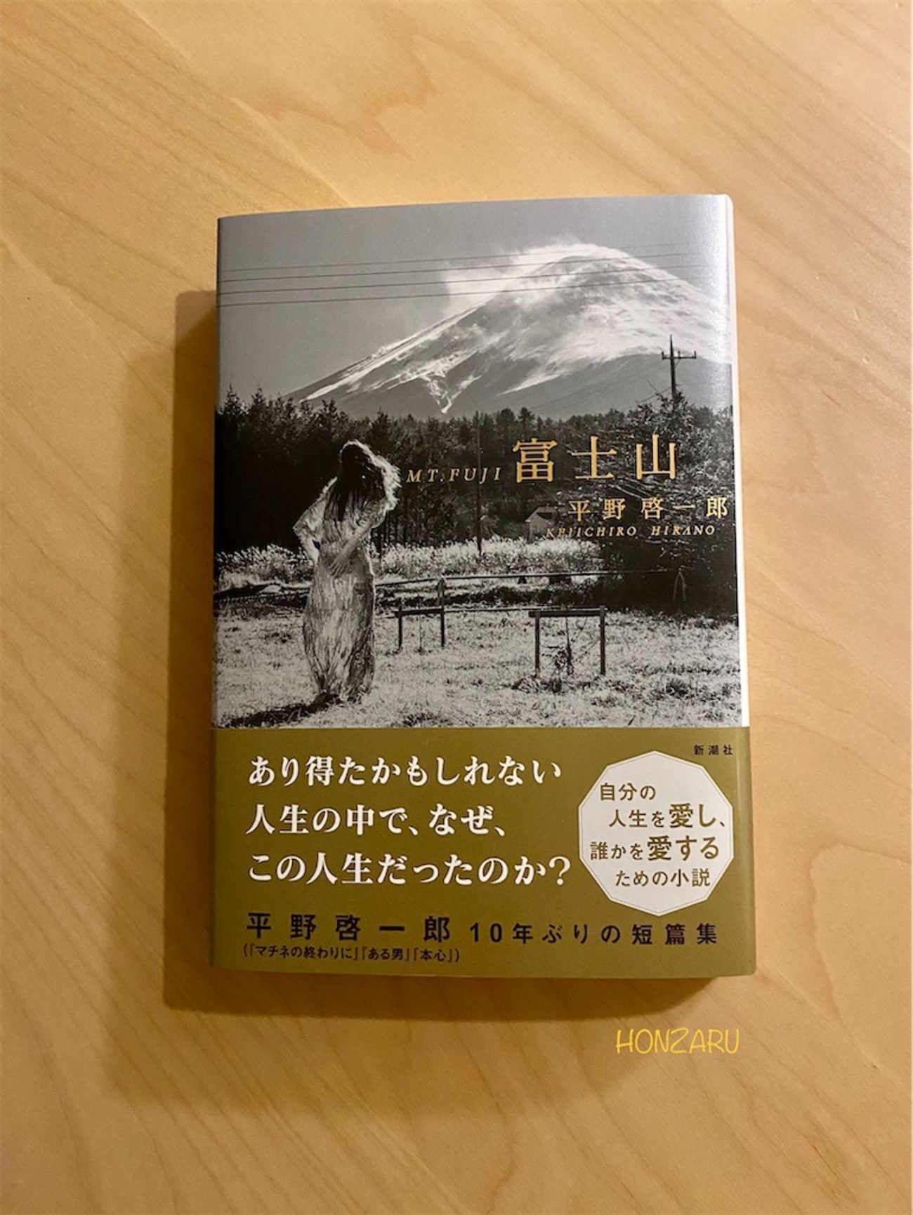 富士山』平野啓一郎｜生きることは選択をし続けること - 書に耽る猿たち