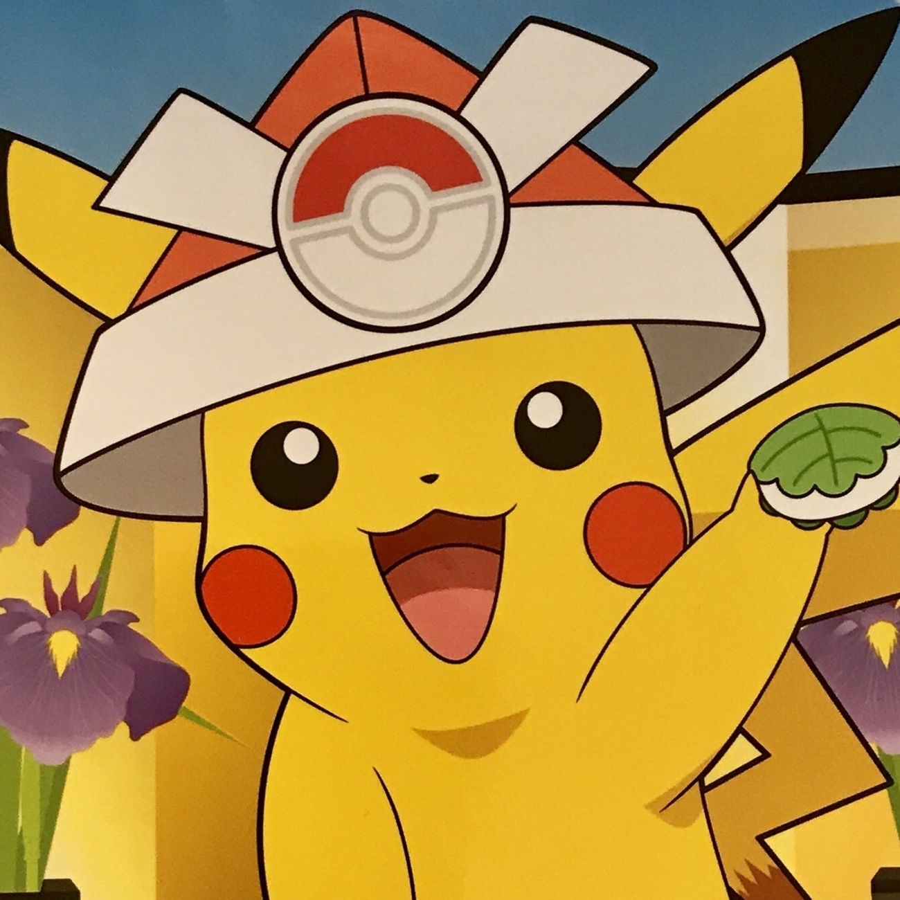 backend=imagemagick;version=1;