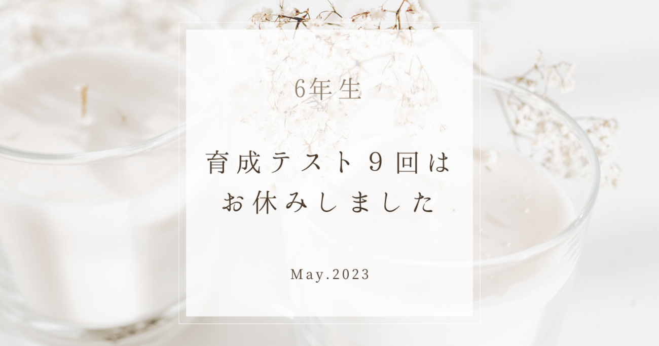 日能研2025年度　6年 春期・夏期・冬期講習、育成テスト、全国模試テスト一式 日能研2025年度 6年 春期・夏期・冬期講習、育成テスト、全国模試