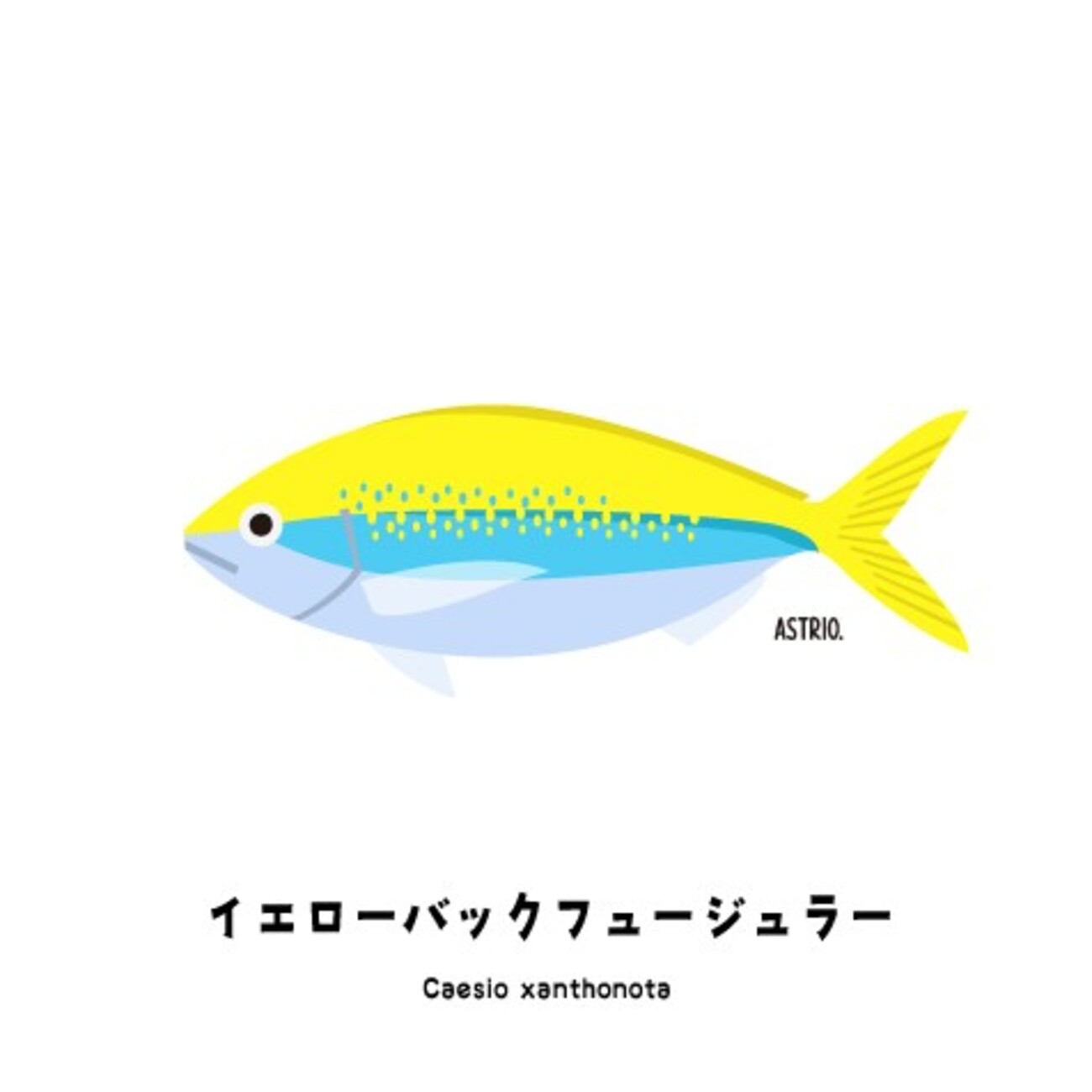 backend=imagemagick;version=1;