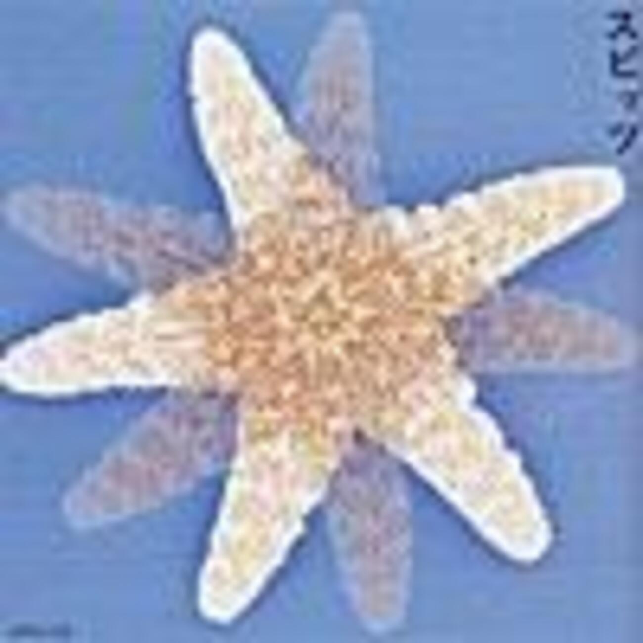 145時限目：ヒバリのこころ - スピッツ大学