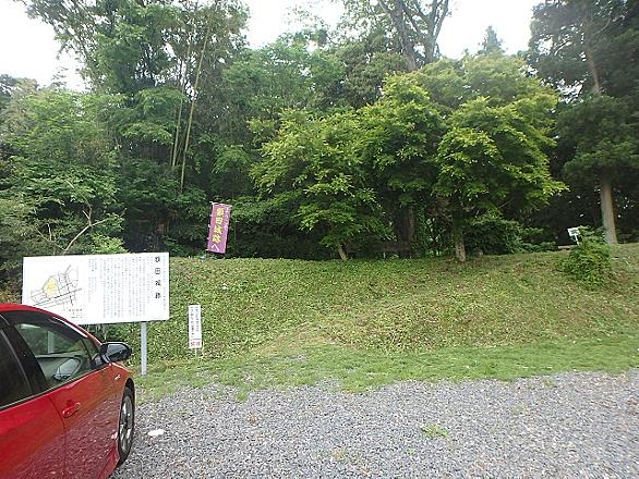 スギナとは 動植物の人気 最新記事を集めました はてな スギナとは 動植物の人気 最新記事を集めました はてな