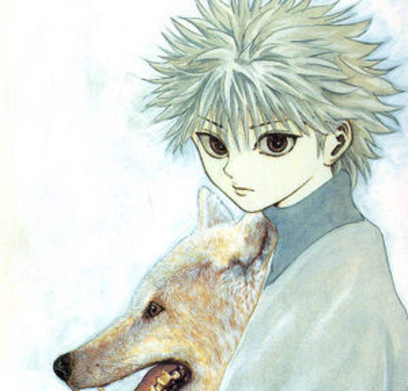 ハンターハンター hunter×hunter 手荒い イルミ ゾルデック セル画 動画