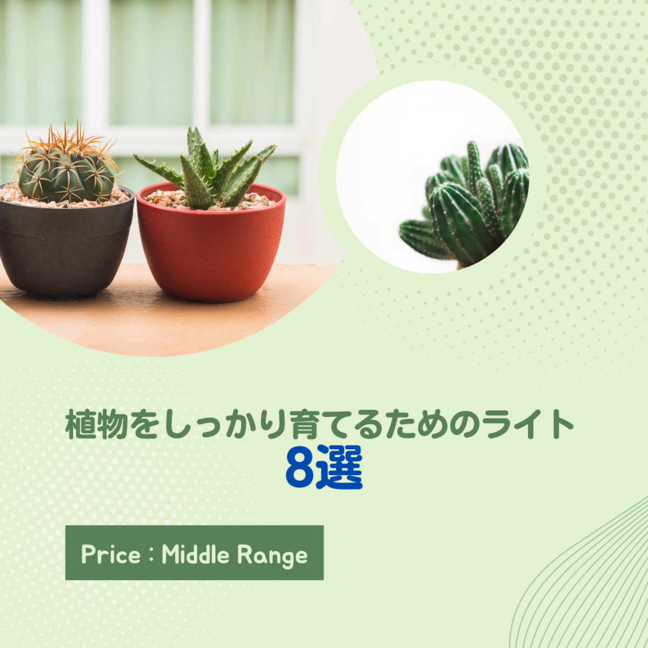 植物育成ライト おすすめLED8選 | しっかり成長するライトを解説 - And 