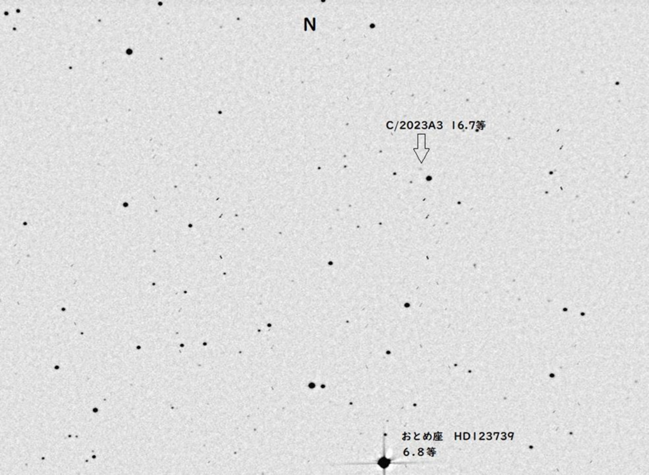 紫金山-アトラス彗星（C/2023A3） - 天の川銀河の星めぐり