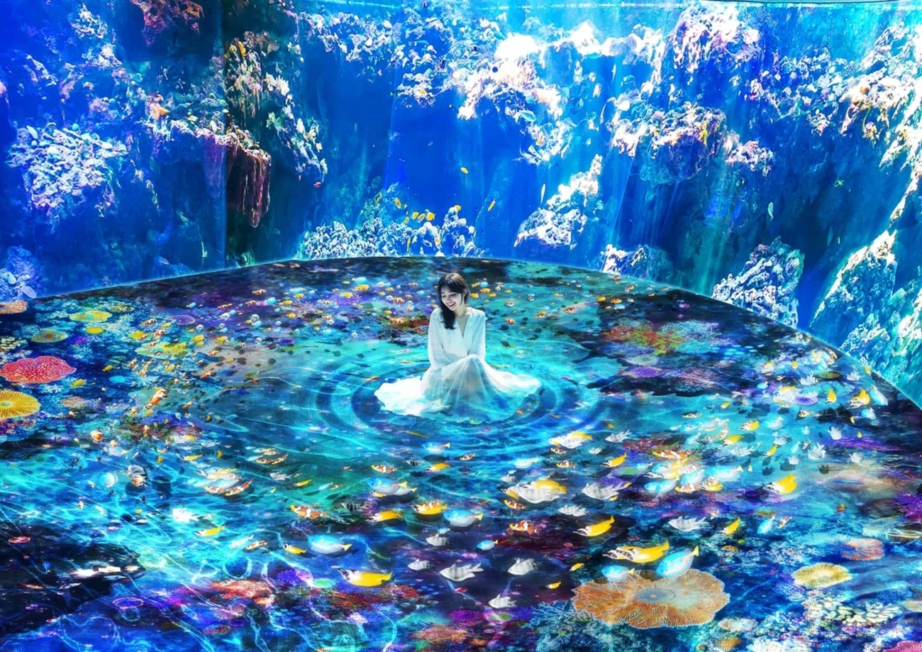 backend=imagemagick;version=1;