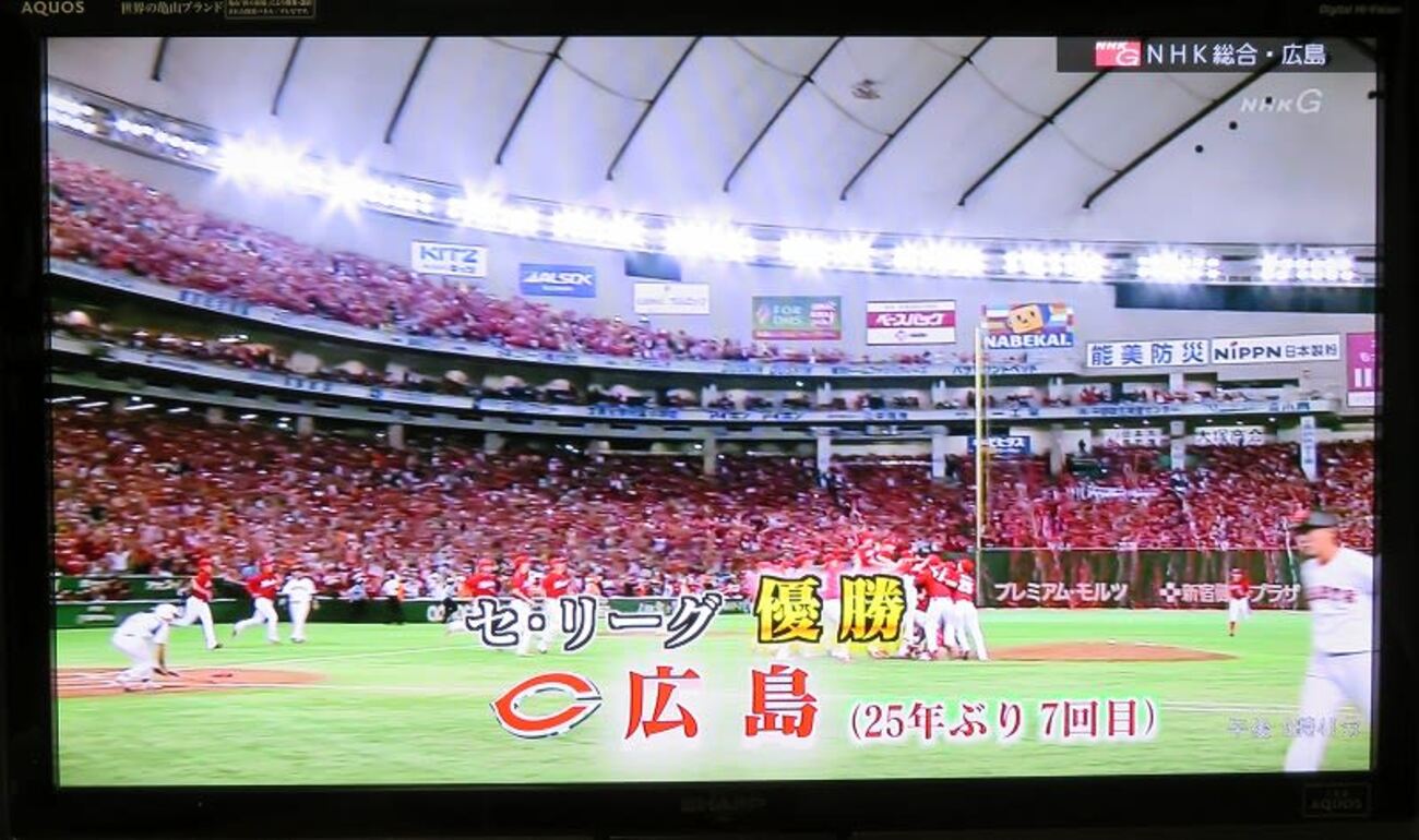 「やった!やった!やったー!」 カープV7 - 四季折々