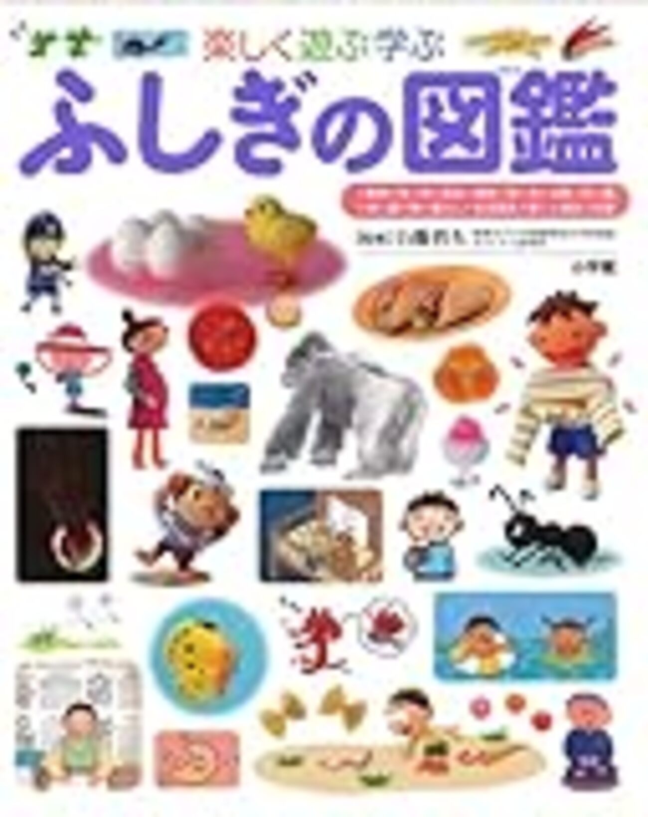 プレNEO 小学館　図鑑　まとめ　きせつの図鑑　かず　ふしぎの図鑑　お受験 きせつの図鑑 (小学館の子ども図鑑 プレNEO) | 長谷川 康男 |本 | 通販