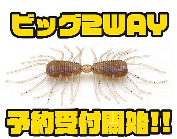 ワームとは コンピュータの人気 最新記事を集めました はてな ワームとは コンピュータの人気 最新記事を集めました はてな