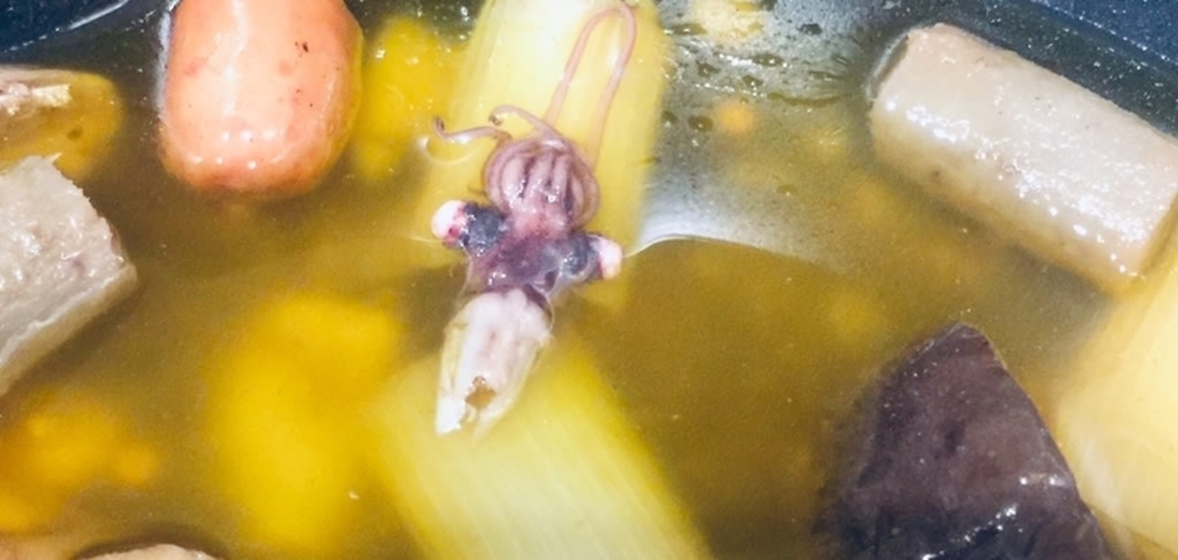 隣のキャクはよく「牡蠣」食うキャクだ - fuki0312’s blog