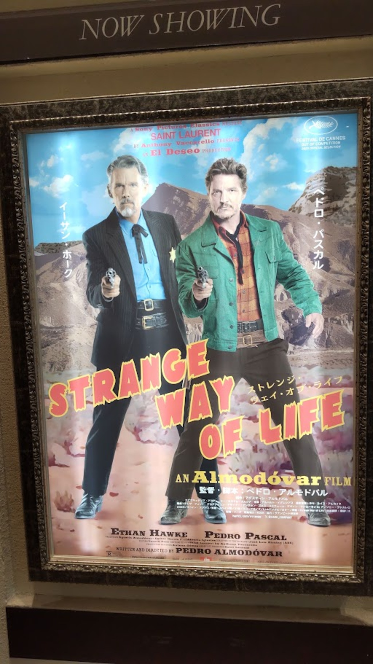 ペドロ・アルモドバル監督作品 全７巻 DVDレンタル落ち m33543537345_1.jpg?1711595676