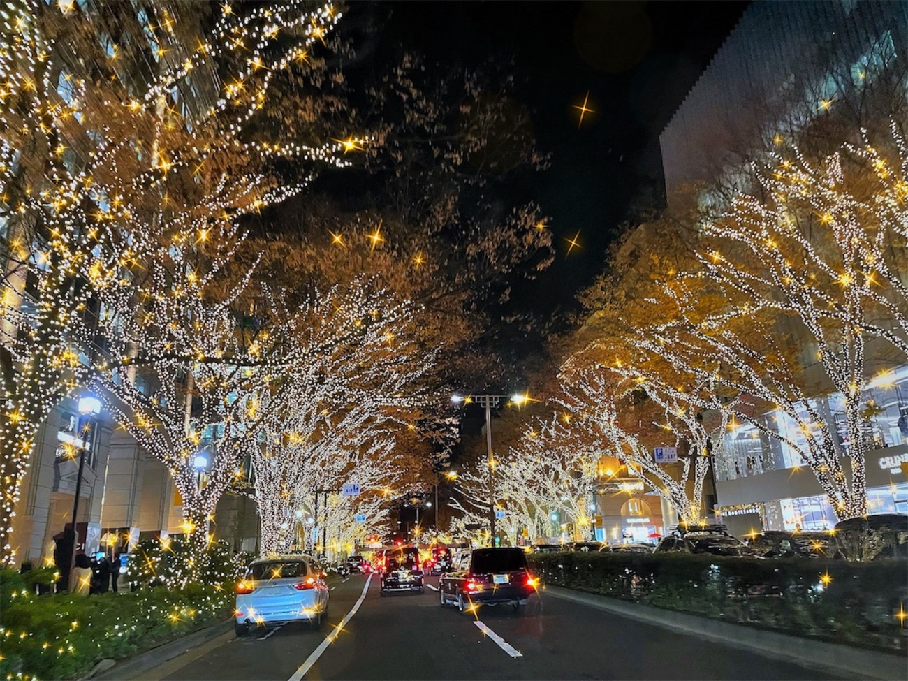 表参道 - 花は世につれ