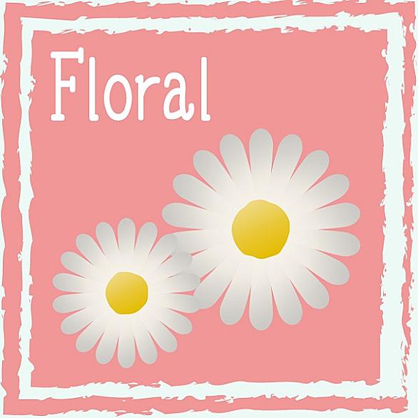 ネロリとは 動植物の人気 最新記事を集めました はてな ネロリとは 動植物の人気 最新記事を集めました はてな