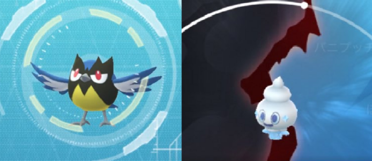ポケモンGO】ココガラ図鑑登録/タイムチャレンジからXXSサイズの