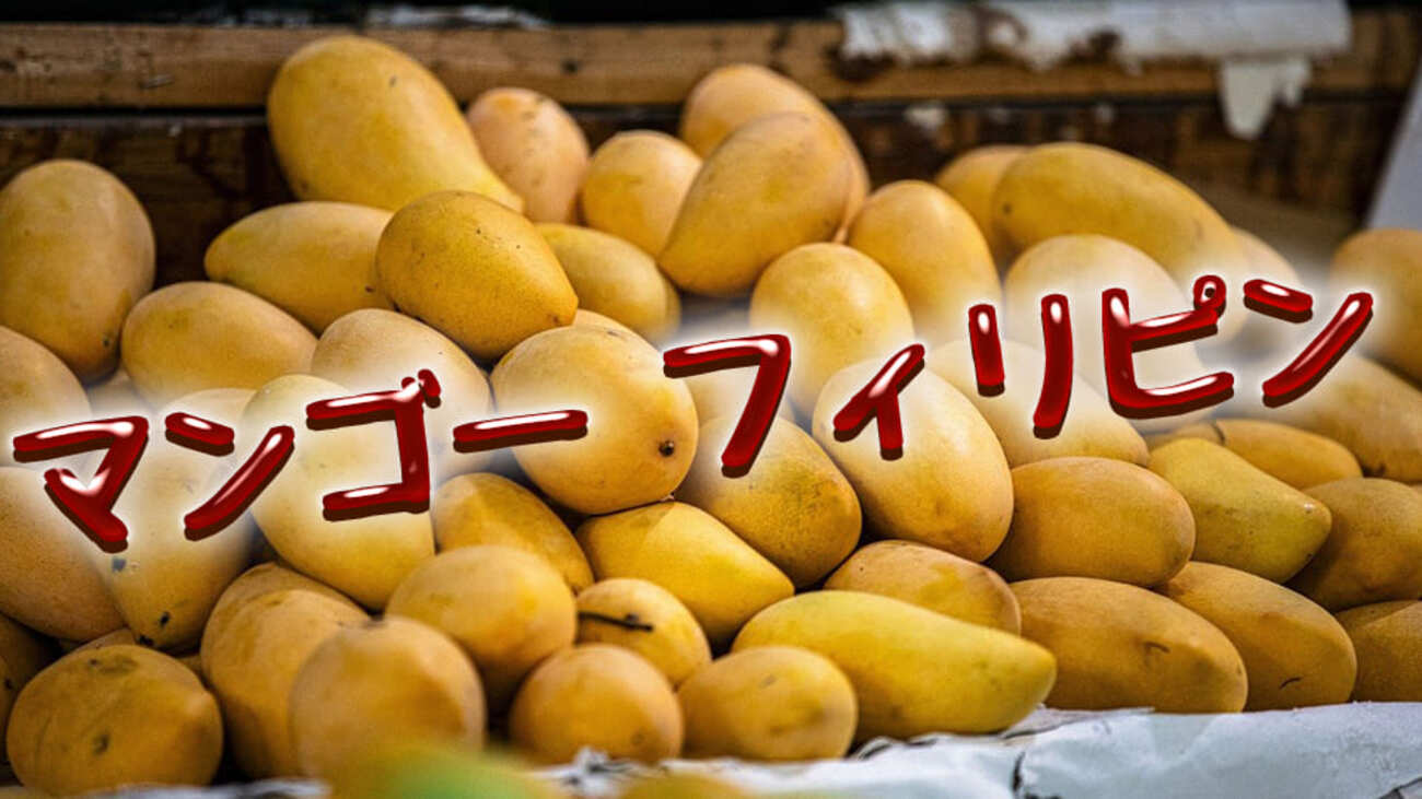 フィリピンのマンゴー：魅力と楽しみ方を徹底解説 - ネイティブキャンプ英会話ブログ | 英会話の豆知識や情報満載
