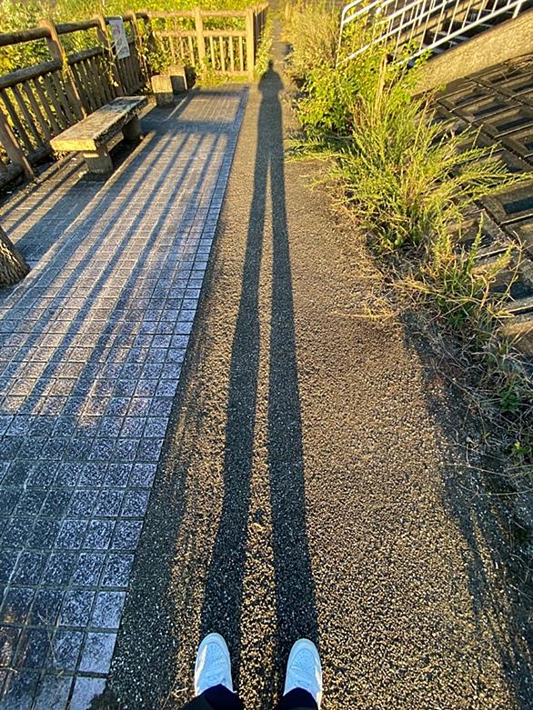 リア王とは 読書の人気 最新記事を集めました はてな