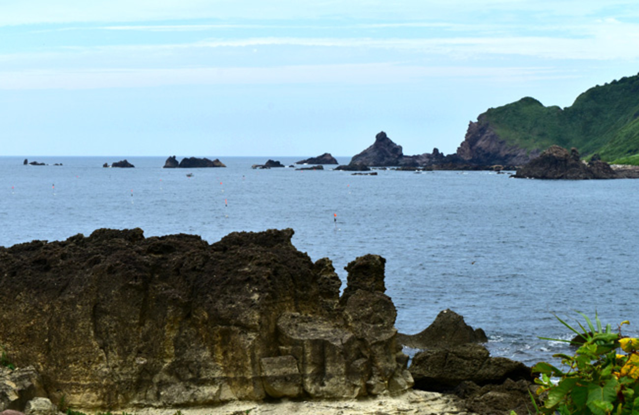 秋田 男鹿半島に潮瀬崎ジオサイトと独特の丸木舟を探る旅 - 花と