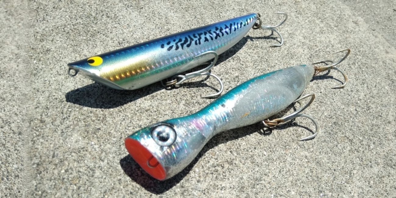 青物におすすめのポッパー - 釣りダネ