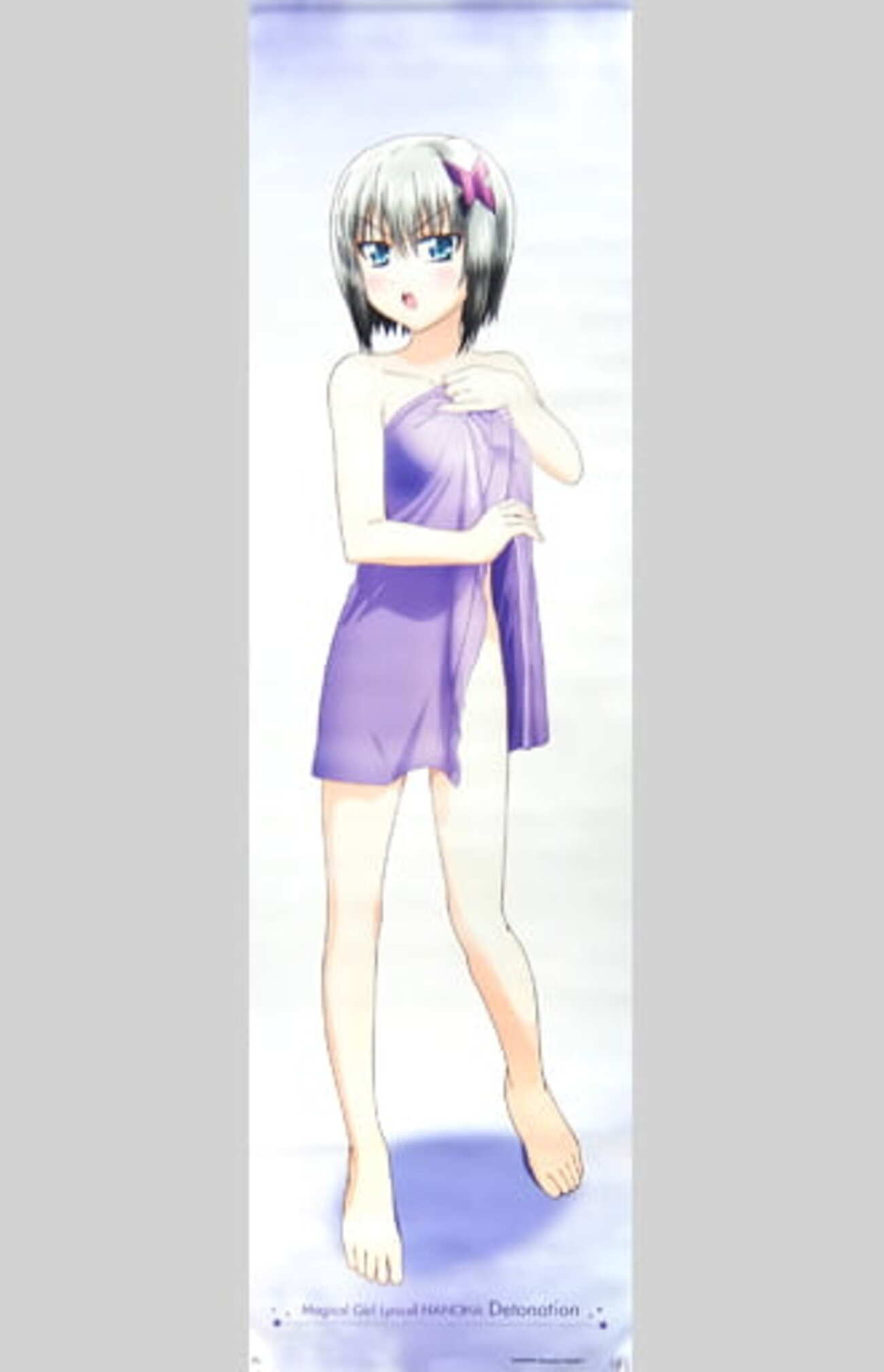 シャワータペストリー なのはたちのセクシー＆キュートなシャワー
