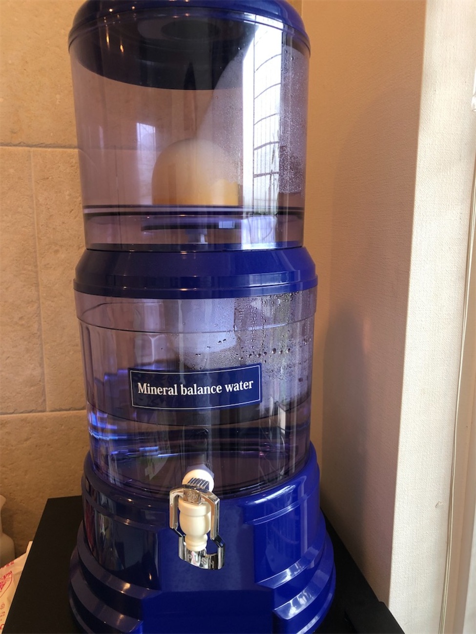 エコウォーター ライフエッセンス ポタポタクラブ づらし 1000ml 2本