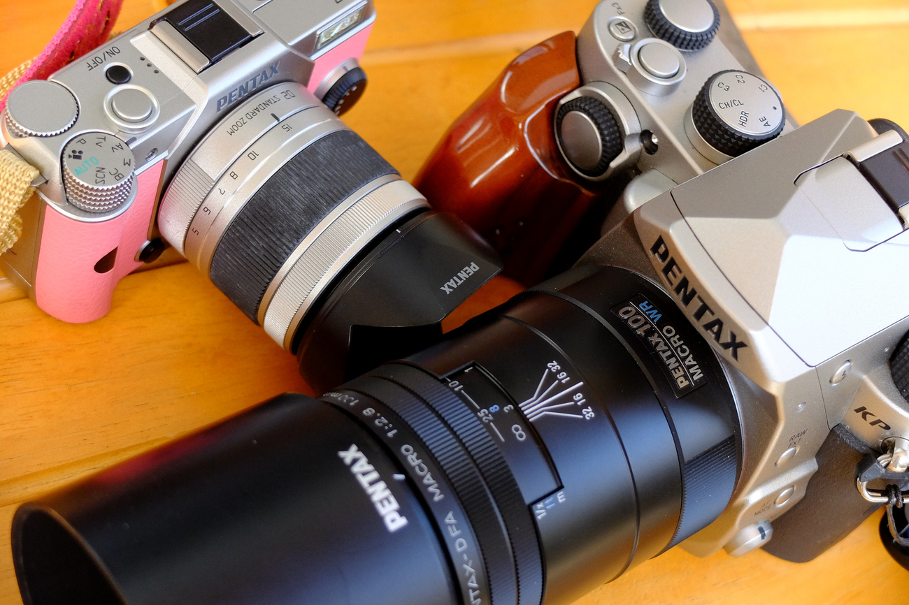 PENTAX Q の「さくらほのか」と PENTAX KP と - Foto Anthem