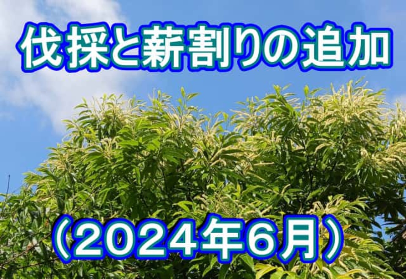 伐採と薪割りの追加（2024年6月） - 60から真面目な薪ライフ